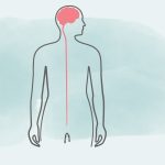 Hemiplegie: das Leben wieder erlernen