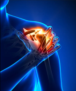 EMS Training der Schultermuskulatur