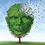 Tipps, &Uuml;bungen und Verhaltensweisen nach Schlaganfall