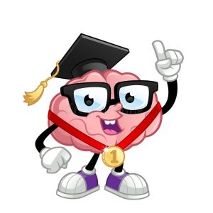 Neuroplastizit&auml;t &Uuml;bungen